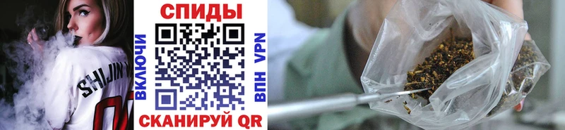 Бутират буратино Купить где Воронеж