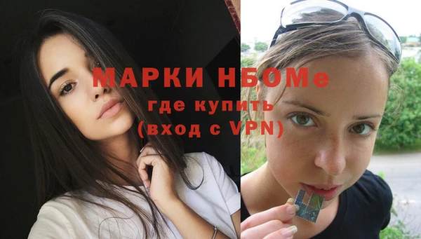 твердый Михайлов